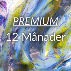 12 Månader Premium
